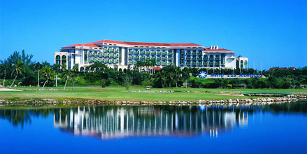 Hotel Melia Las Americas